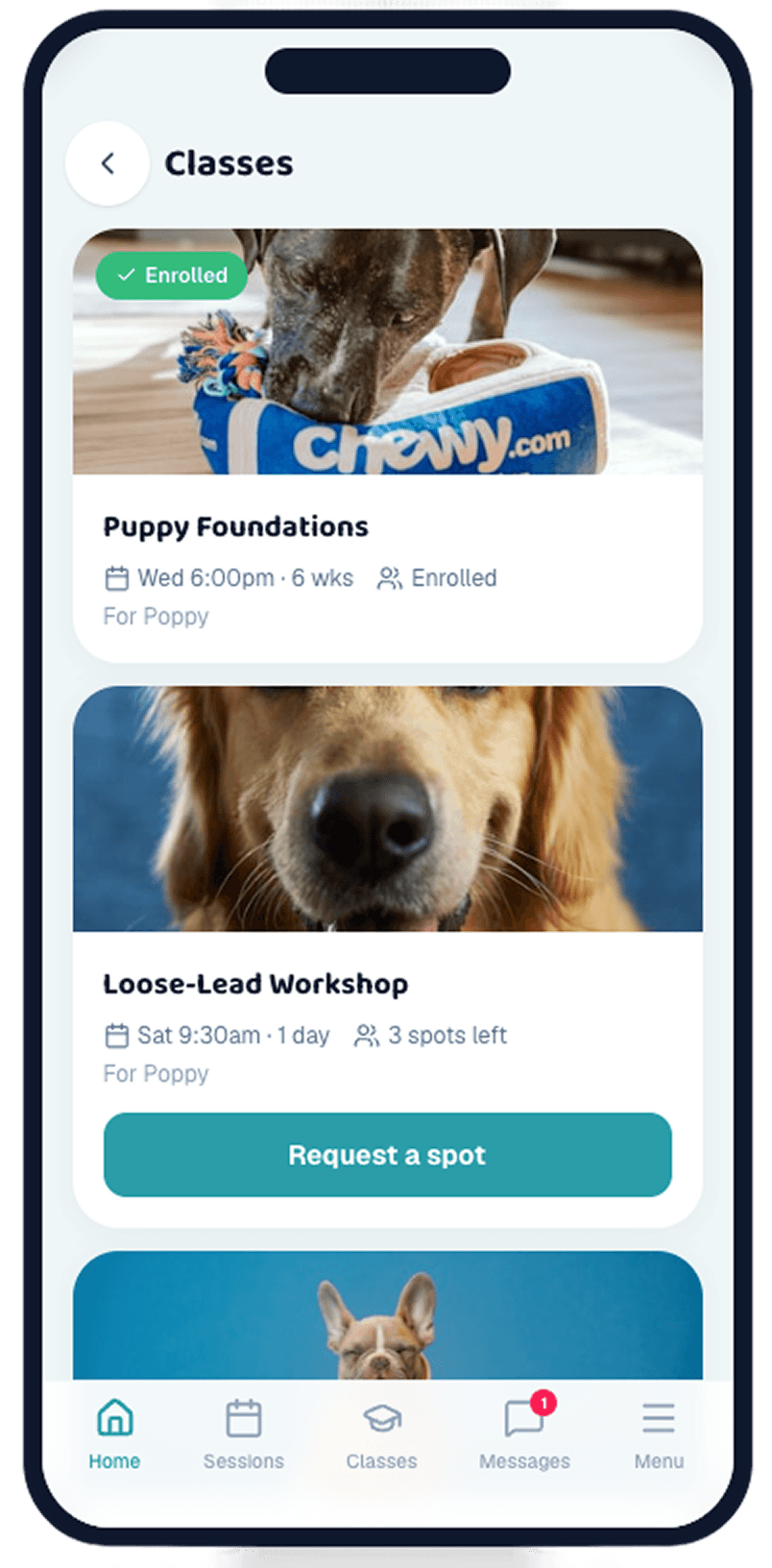 Classes — enrolled Puppy Foundations and an open Loose-Lead Workshop with a request-a-spot button