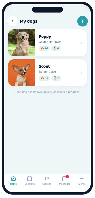 My dogs — Poppy (Golden Retriever) and Scout (Border Collie), each with their own streak and badges