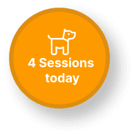 4 sessions today