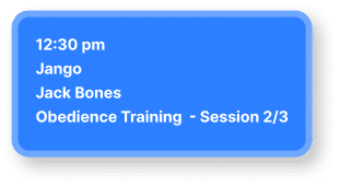 12:30pm session — Jango with Jack Bones, obedience training (session 2 of 3)