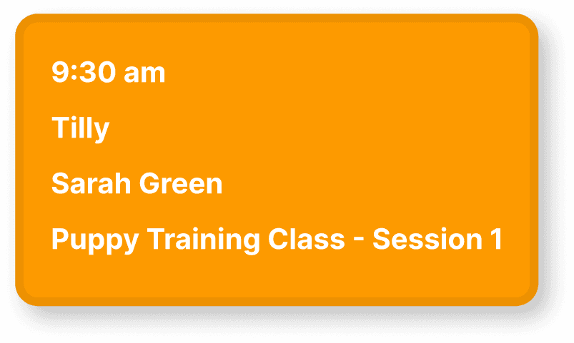 9:30am — Tilly with Sarah Green, puppy training class (session 1)